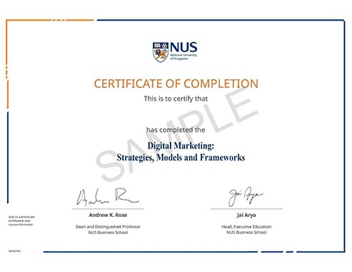 Digital Marketing: Strategies, Models and Frameworks Programme Certificate
