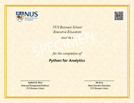 Python For Analytics Programme Certificate