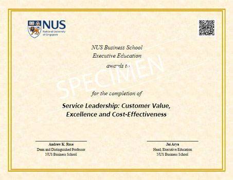 Service Leadership: Customer Value, Excellence and Cost-Effectiveness Programme Certificate