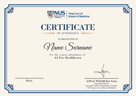 AI for Healthcare Programme Certificate