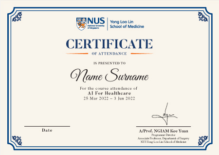 AI for Healthcare Programme Certificate