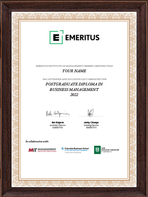 Postgraduate Diploma In Business Management (E-Learning) Certificate